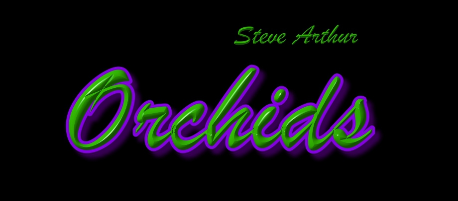 Steve Arthur Orchids News
